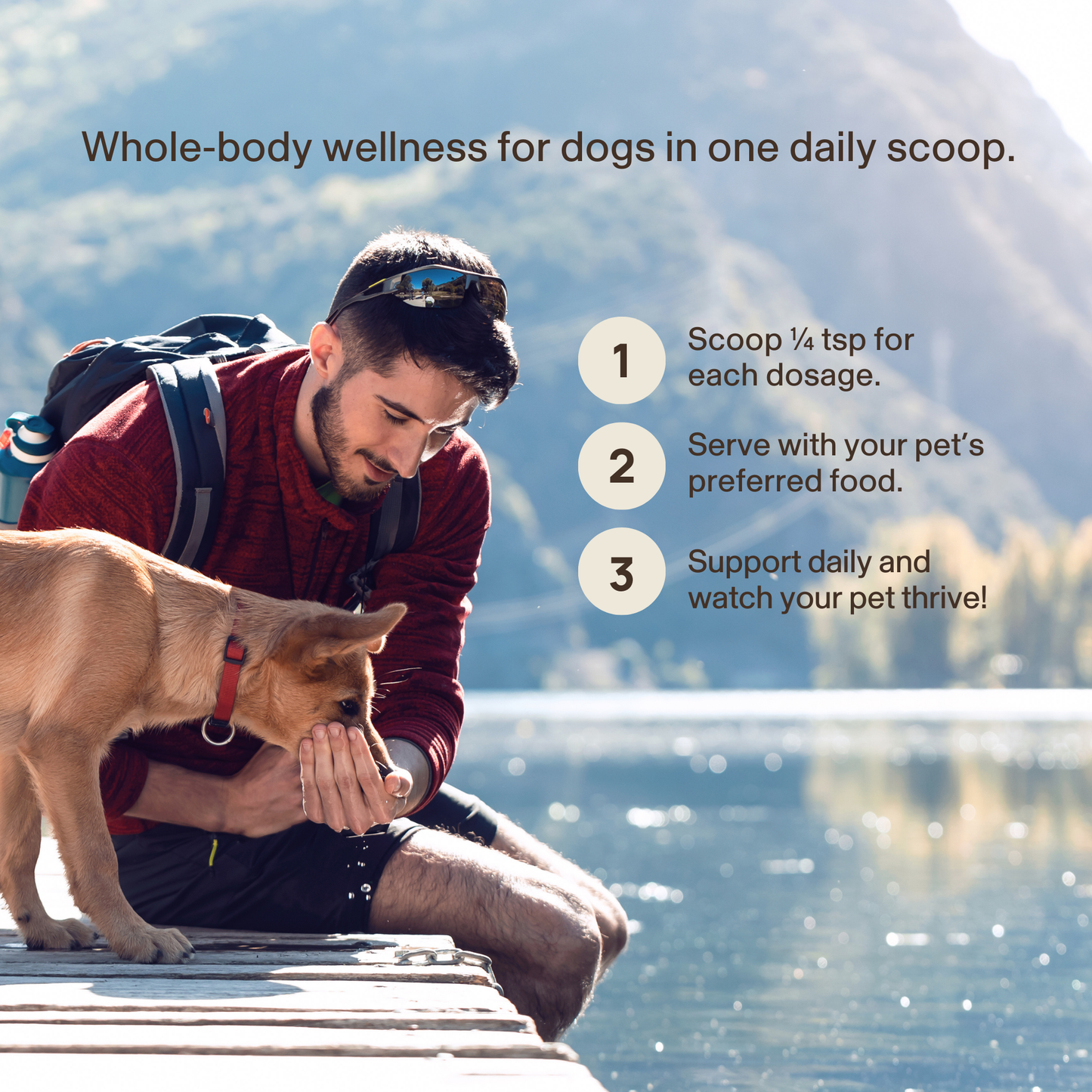 A man sits on a dock by a lake, feeding a brown dog as three whole-body wellness steps for dogs and tips for using Real Mushrooms Daily Dawg Powder for Pets, an organic supplement, are listed beside them.