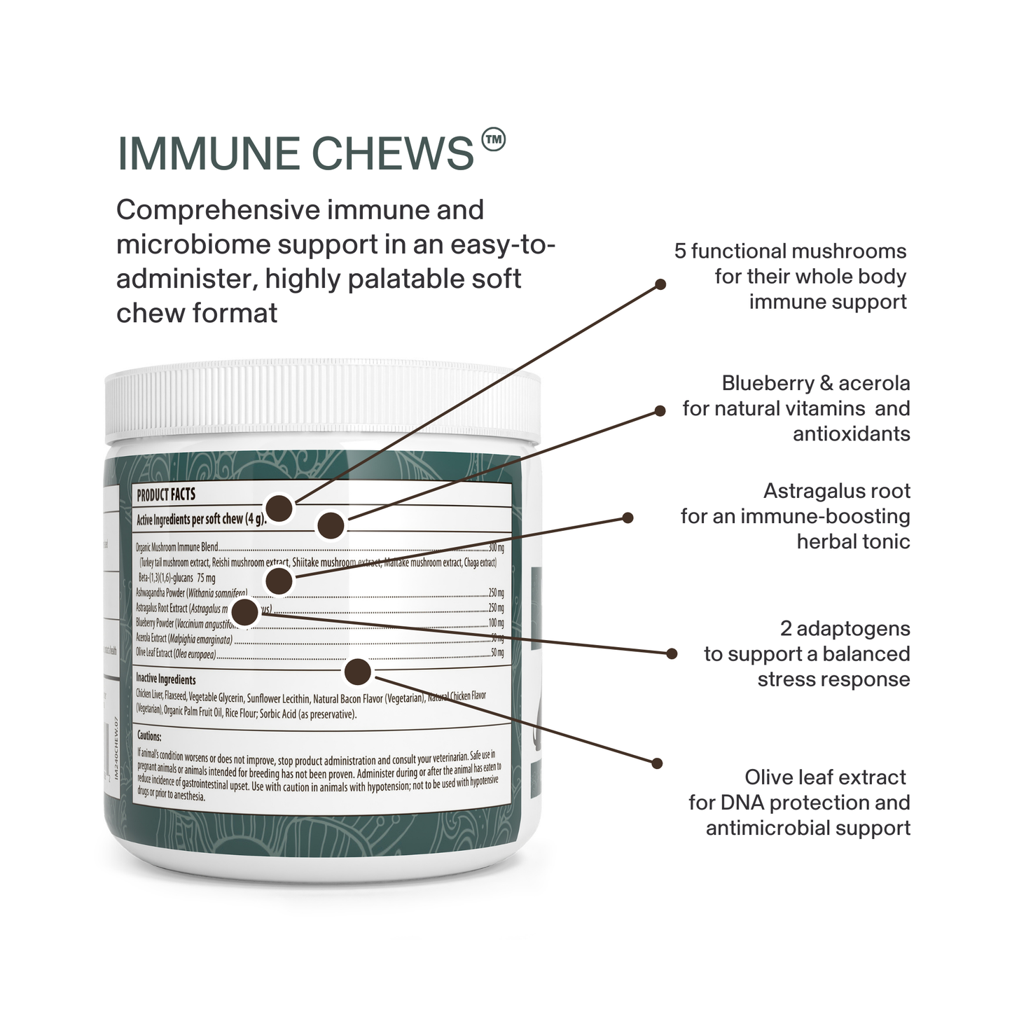 A container of Real Mushrooms Mushroom Immune Pet Chews features labeled callouts for organic mushroom extracts, blueberry & acerola, astragalus root, adaptogens, and olive leaf extract to support pet immune health.