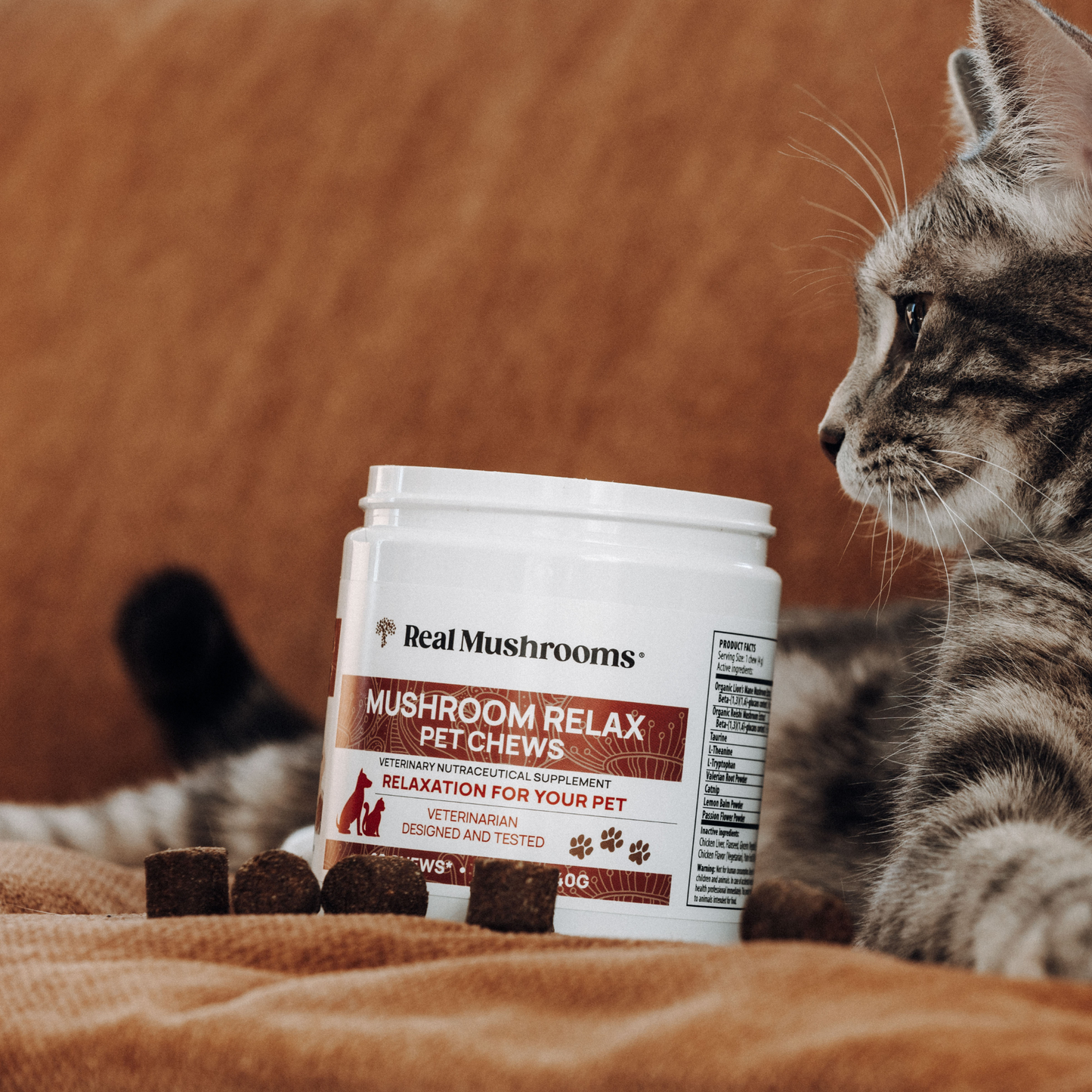 A tabby cat lies on a couch beside a container of Real Mushrooms Mushroom Relax Pet Chews, with several calming chews for pets in front.