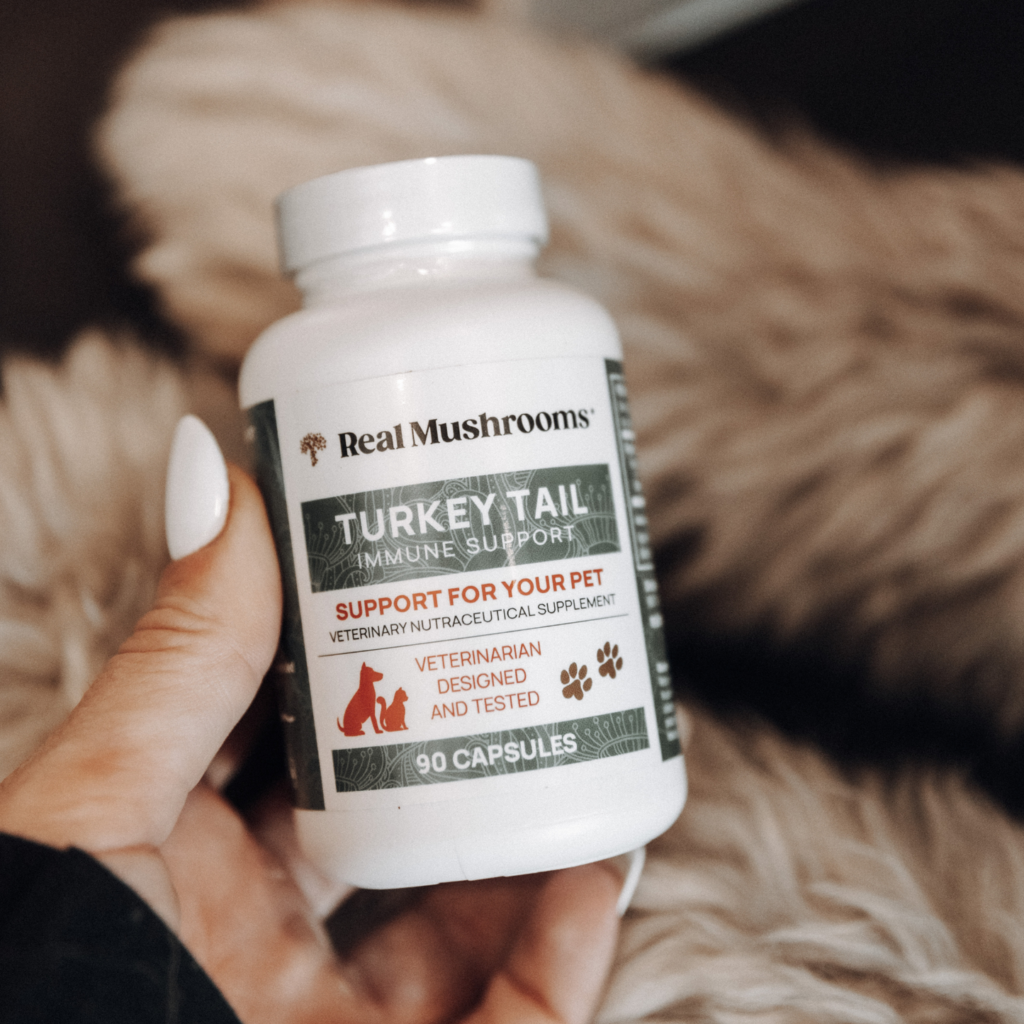 A hand holds a bottle labeled "Real Mushrooms Turkey Tail Extract Capsules for Pets," a supplement with 90 capsules made from organic turkey tail mushroom and rich in beta-glucans, designed to support pet health.