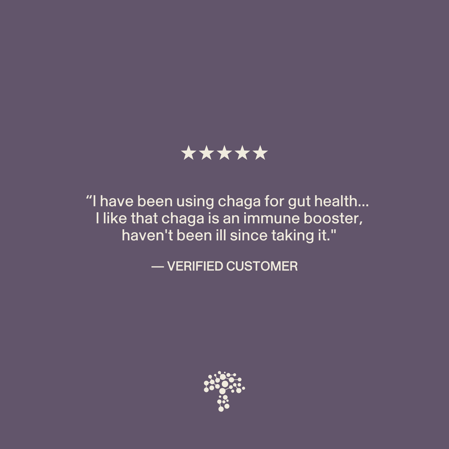 A customer testimonial about Real Mushrooms Organic Chaga Extract Powder’s gut health and immune benefits appears on a purple background, featuring five stars and a tree logo beneath the text.