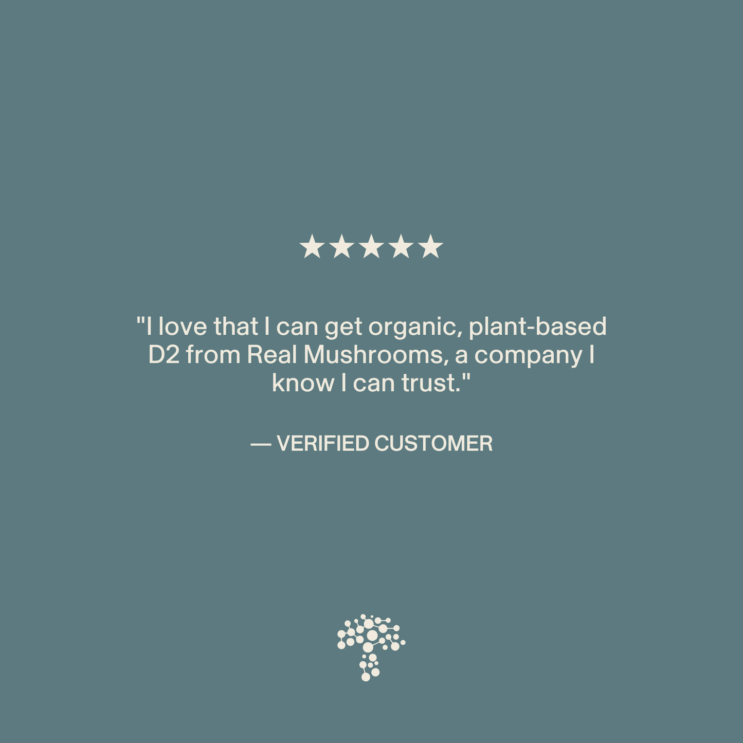 A five-star review praises Real Mushrooms’ Vitamin D from Organic Mushrooms, calling the brand trustworthy and their organic mushroom capsules an excellent vitamin D supplement.