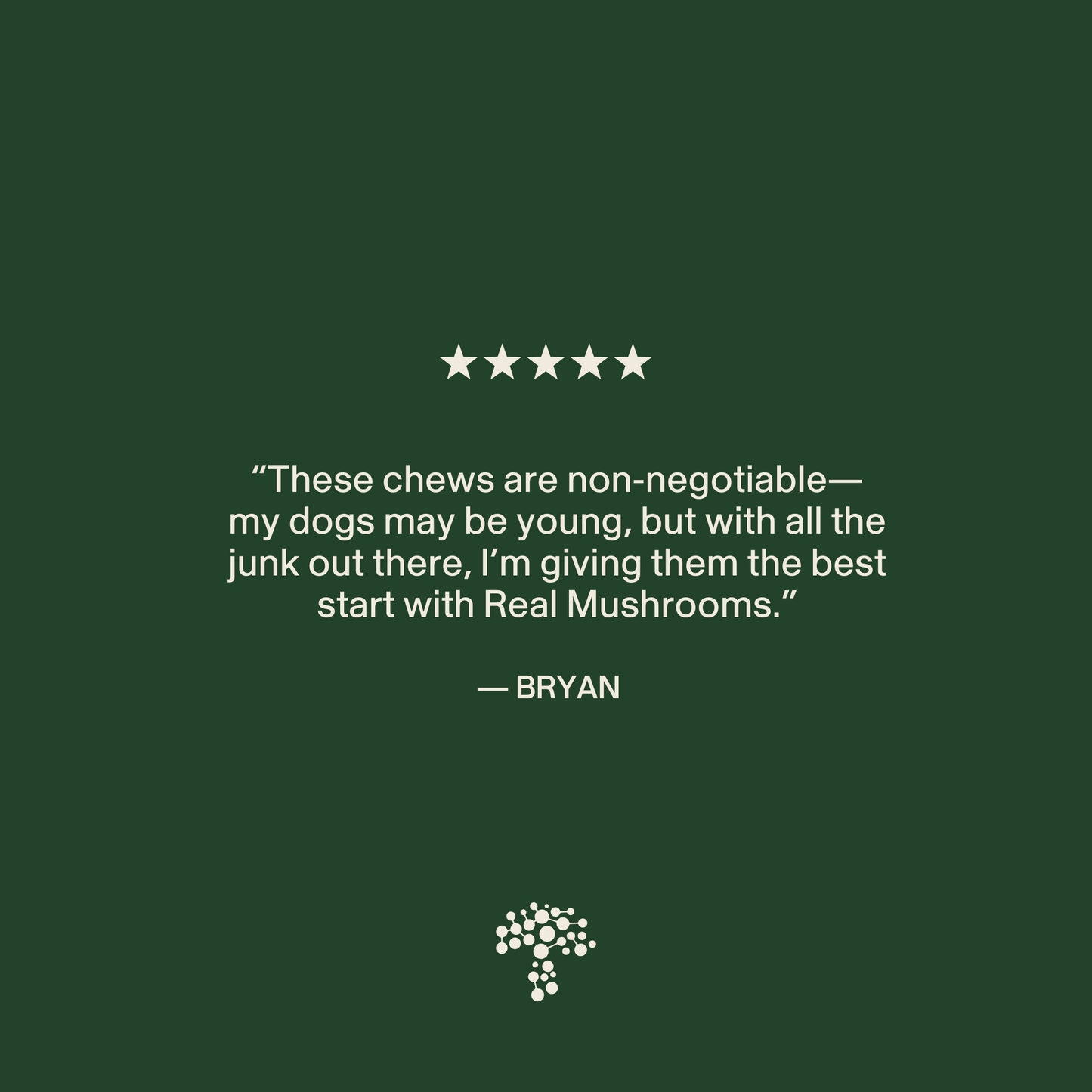 Bryan gives a five-star review for Real Mushrooms' Mushroom Immune Pet Chews, highlighting their immune support for his young dogs. The review is featured on a dark green background with a mushroom logo at the bottom.