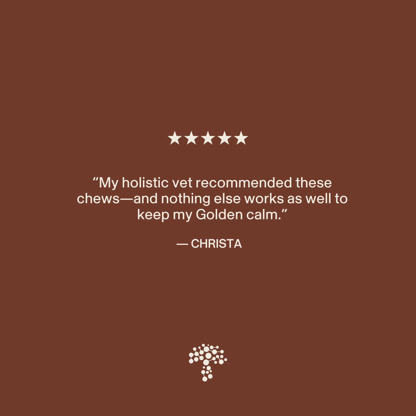A five-star customer review reads: “My holistic vet recommended Real Mushrooms Mushroom Relax Pet Chews—and nothing else works as well to keep my Golden calm.” — Christa. Tree logo at the bottom.
