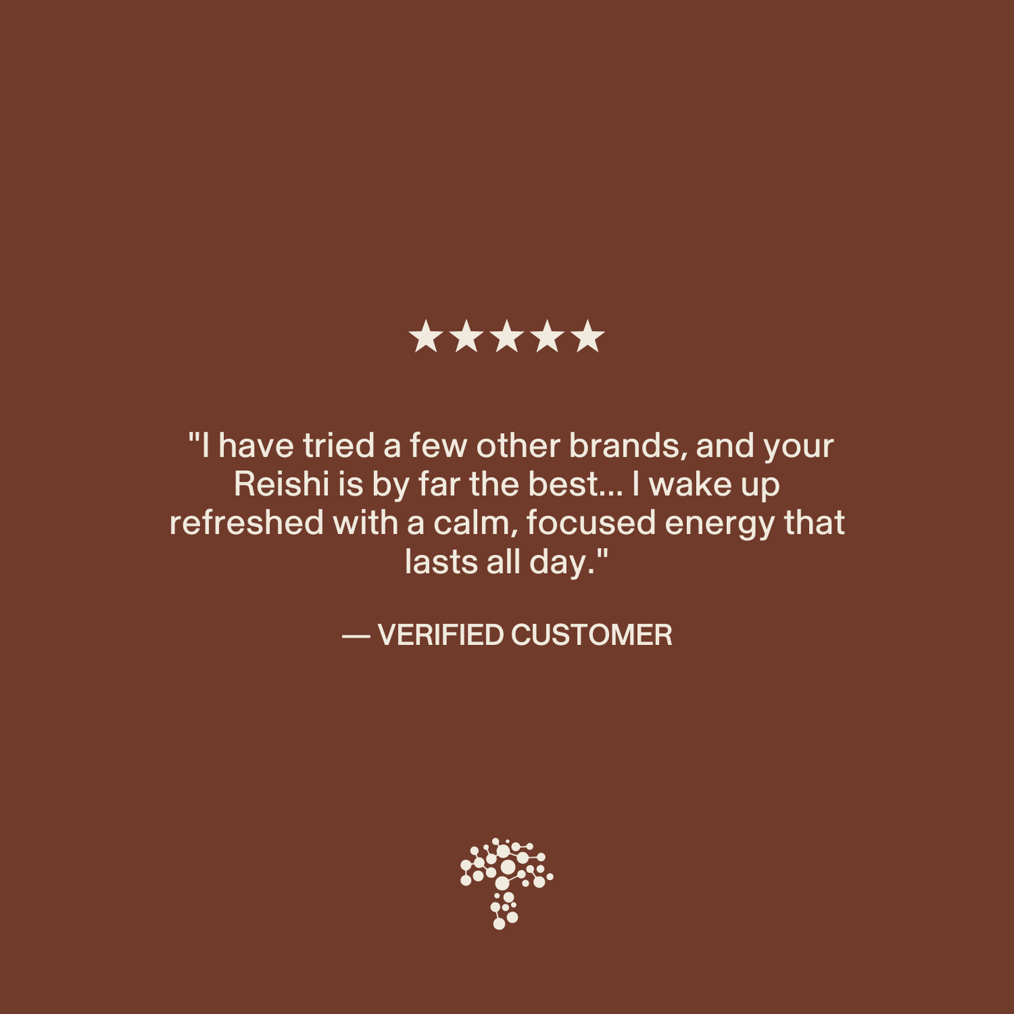 A five-star review praises Real Mushrooms Organic Reishi Mushroom Capsules for providing calm, focused energy that lasts all day. White text appears on a brown background with a small tree logo at the bottom.
