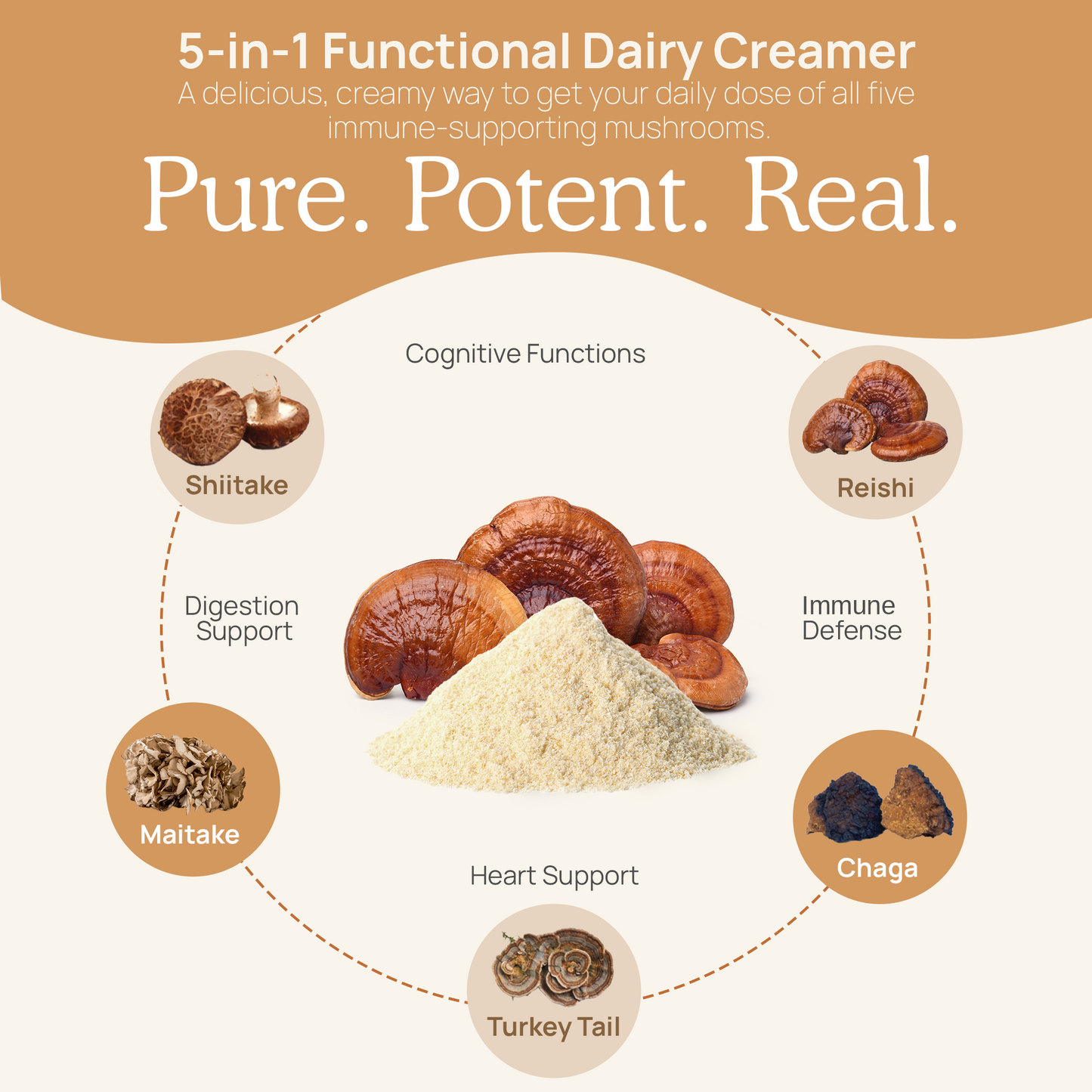 Illustration of Real Mushrooms 5-in-1 Functional Dairy Creamer Powder with USDA Certified Organic mushrooms, highlighting health benefits like cognitive support from lion's mane and immune defense from reishi.