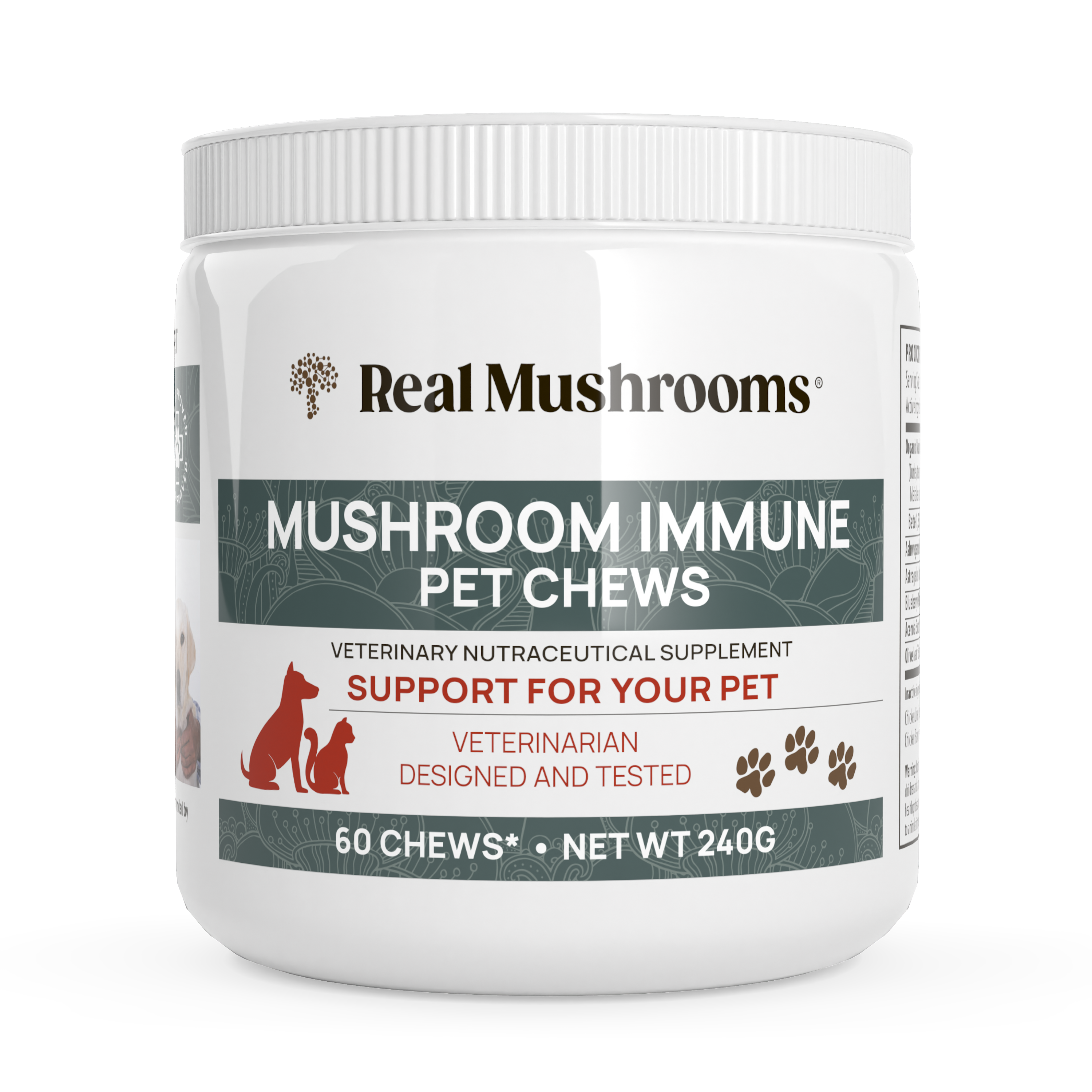 Mushroom supplements top for dogs