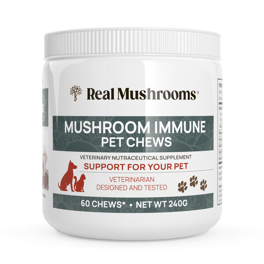 Real Mushrooms' Mushroom Immune Pet Chews.
