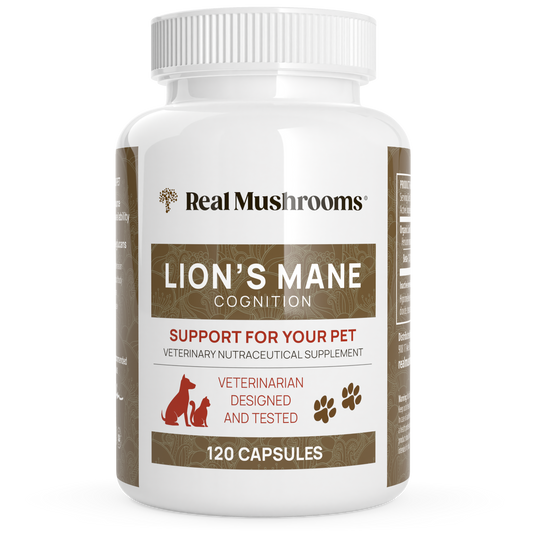 Real Mushrooms Organic Lions Mane Extract Capsules for Pets.