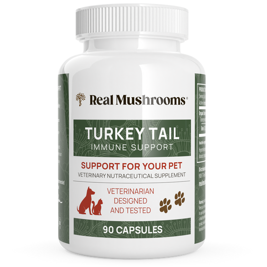 Real Mushrooms Turkey Tail Extract Capsules for Pets - 90 capsules.