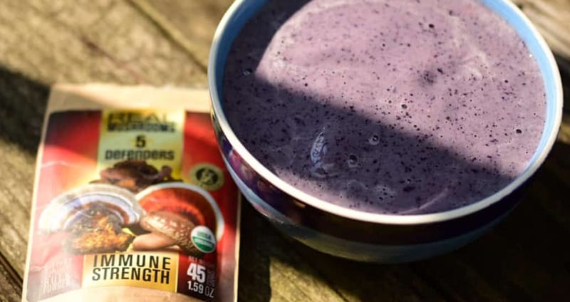 frozen blueberry bowl of smoothie with 5 defenders organic mushroom complex bulk powder