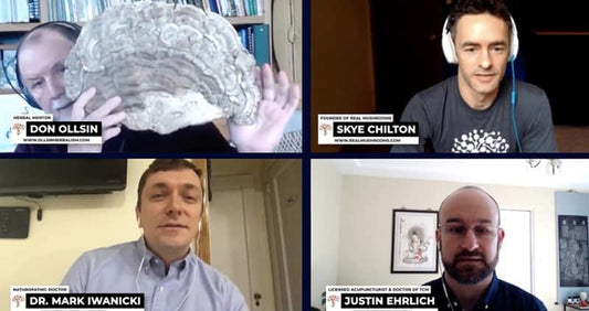 Adaptogenic Mushroom Experts