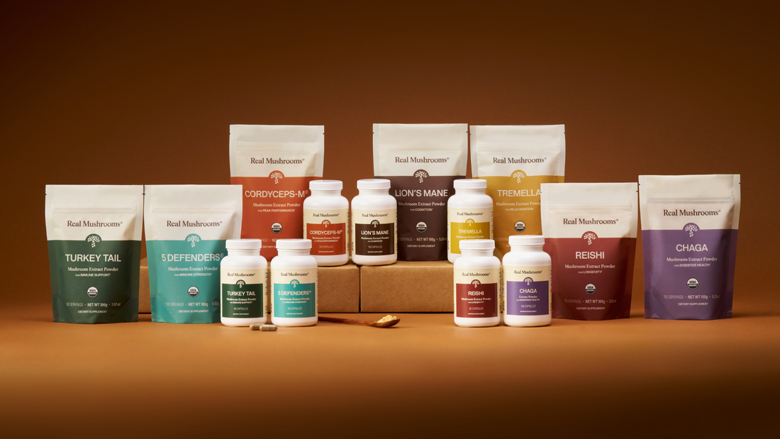 Healthy Mushrooms: A Primer for Newbies to Mushroom Supplements