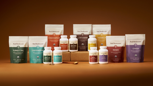 Healthy Mushrooms: A Primer for Newbies to Mushroom Supplements
