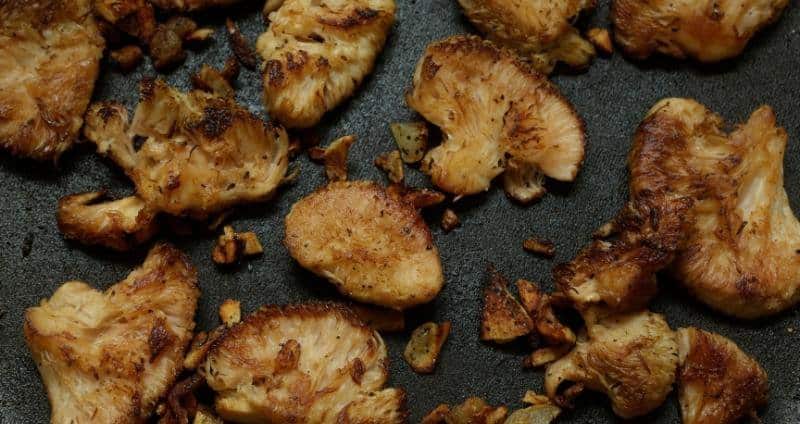 Cooking Lion’s Mane Mushroom: Tips, Techniques & Recipes cover