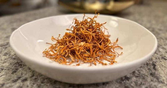 Eating Cordyceps: How to Prep & Cook “The Caterpillar Mushroom” cover