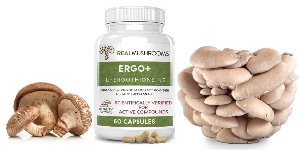 Ergothioneine Supplement Guide: Facts, Benefits, and Usage cover