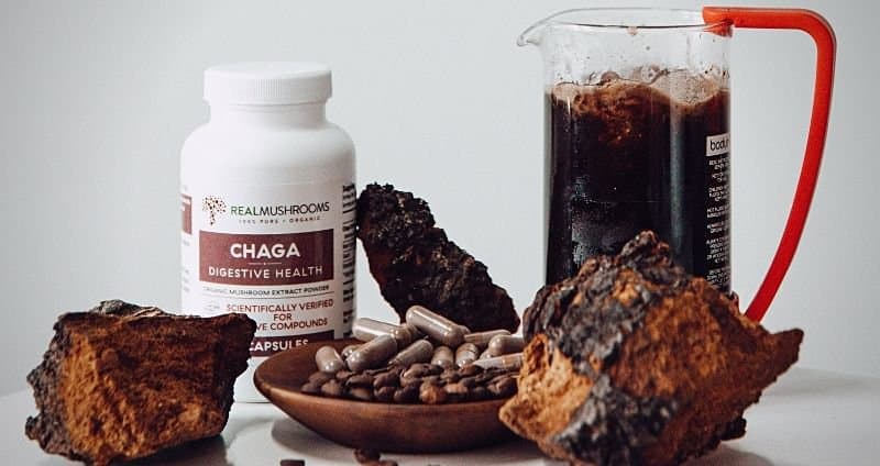 How to Make Chaga Tea and 9 Other Chaga Recipes cover