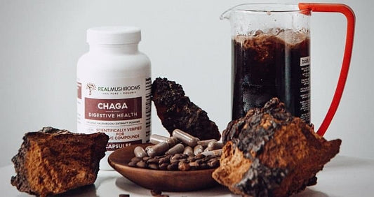 How to Make Chaga Tea and 9 Other Chaga Recipes cover