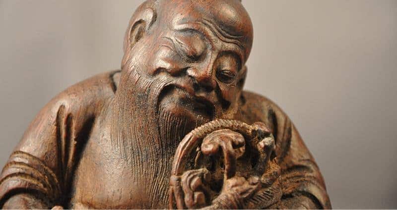 Reishi Mushroom History: Cultural Uses & Reverence cover