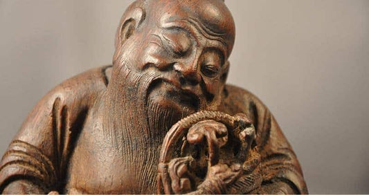 Reishi Mushroom History: Cultural Uses & Reverence cover