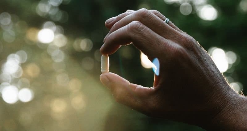 Vegan Vitamin D: Why Mushrooms are Your Best Whole Food Source cover