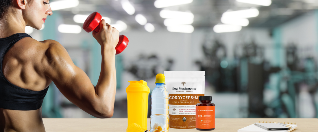 Cordyceps Mushrooms for Muscle Growth: What Science Says cover