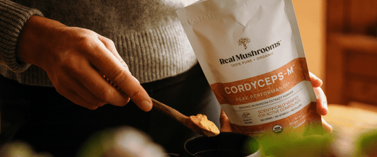 Cordyceps Mushroom for Acne: A Comprehensive Look at the Science cover
