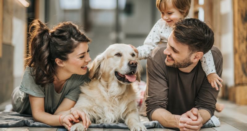 Detecting Cancer Early in Pets: Improved Outcomes Using a New Method cover