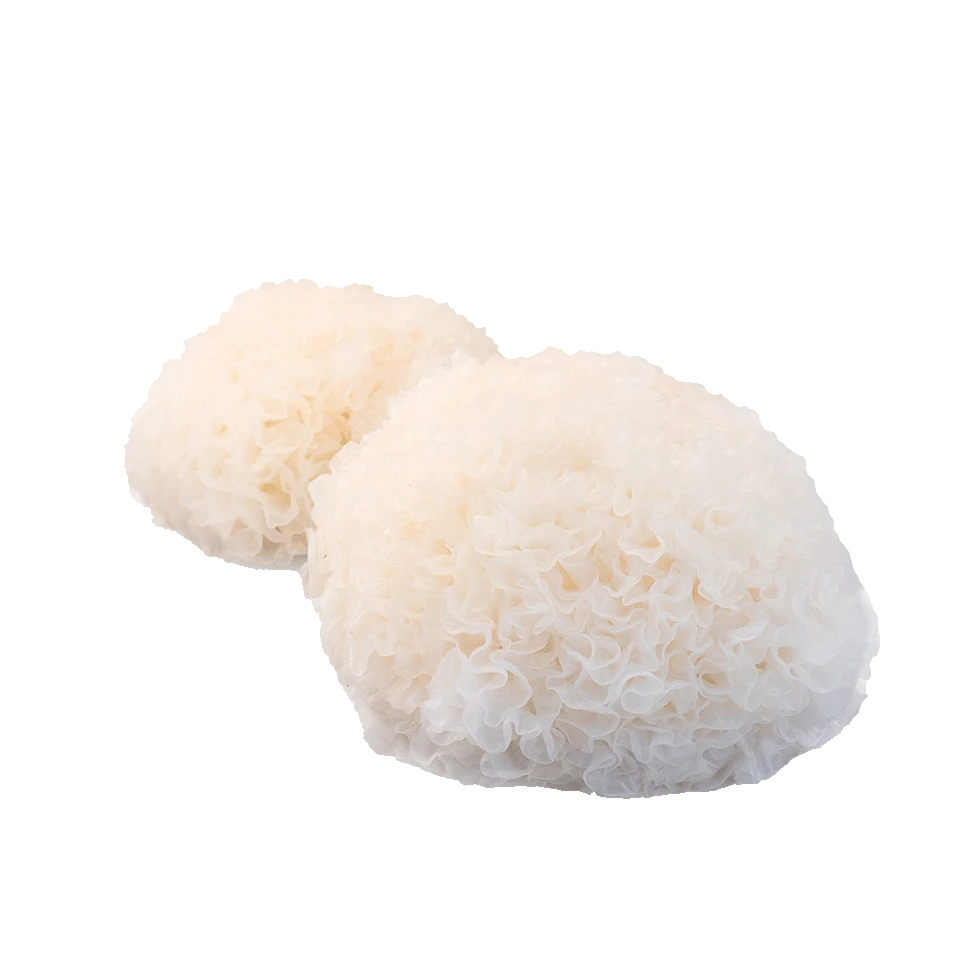 Tremella Mushroom Extracts