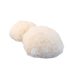 Tremella Mushroom Extracts