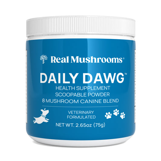 A white plastic container of Real Mushrooms Daily Dawg Powder for Pets, featuring a blue label with product details and branding, made with Certified Organic mushrooms to support overall pet health.