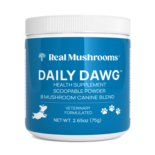 A blue container labeled "Real Mushrooms Daily Dawg Powder for Pets," a scoopable vet-formulated supplement for dogs with an 8-mushroom blend and beta-glucans, net weight 2.65 oz (75g).