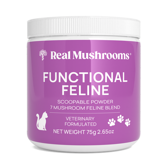 A 75g container of Real Mushrooms Functional Feline Powder for Cats features an organic 7-mushroom blend with beta-glucans. The purple label displays white text and graphics.