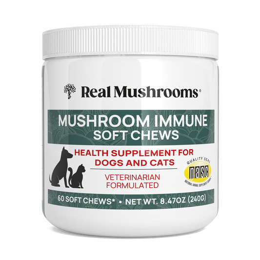 A jar of Real Mushrooms Mushroom Immune Pet Chews contains 60 veterinarian-formulated chews, designed as a health supplement for dogs and cats.