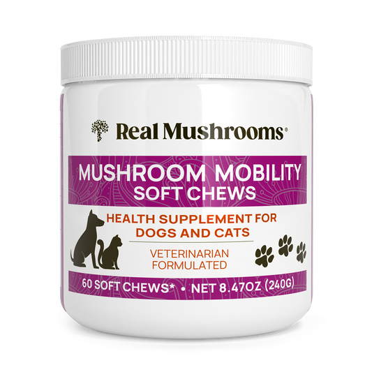 A white container labeled "Real Mushrooms Mushroom Mobility Pet Chews," a supplement with green lipped mussel to support joint health in dogs and cats. Each jar contains 60 soft chews.