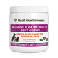 A white container labeled "Real Mushrooms Mushroom Mobility Pet Chews," a supplement with green lipped mussel to support joint health in dogs and cats. Each jar contains 60 soft chews.