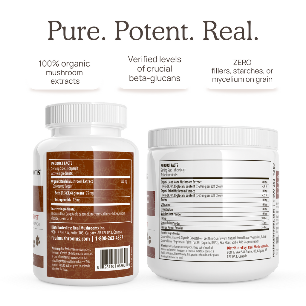 A bottle of the Real Mushrooms Calm Pet Bundle, pure, potent goji berry for pet supplements.