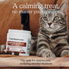 A cat sitting on a couch enjoying a relaxing treat from Real Mushrooms' Calm Pet Bundle.