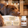 A dog sleeping on a pillow with the words Calm Pet Bundle, creating calm and promoting relaxation for pets by Real Mushrooms.