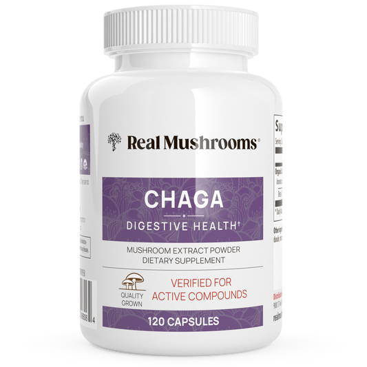 A white bottle labeled "Real Mushrooms Organic Chaga Extract Capsules," containing 120 capsules of organic Chaga mushroom extract rich in beta-glucans, a dietary supplement for digestive support.