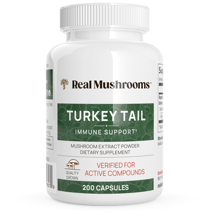 A bottle of Real Mushrooms Turkey Tail Mushroom Capsules with mushroom extract powder dietary supplement. The label indicates it contains 200 capsules, is verified for active compounds, and sourced from Certified Organic mushrooms.