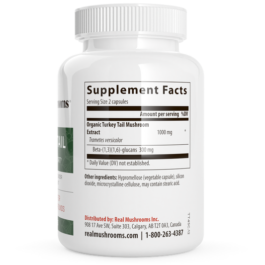 A white bottle of Real Mushrooms Turkey Tail Mushroom Capsules displays "Supplement Facts," listing Organic Turkey Tail extract, ingredients, distributor info, website, and contact number—emphasizing immune support from organic turkey tail.