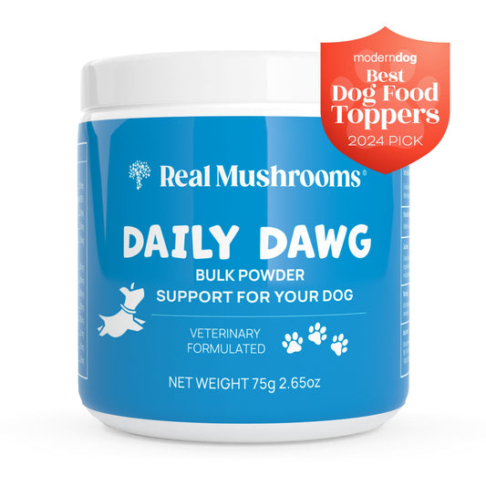A blue container of Real Mushrooms Daily Dawg Powder for Pets, featuring a "Best Dog Food Toppers 2024 Pick" badge from Modern Dog. This veterinarian formulated product contains Guaranteed Beta-glucans and Certified Organic mushrooms for general health maintenance. The container weighs 75g or 2.65oz.