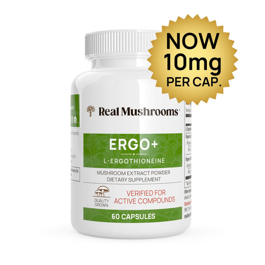 A bottle of Real Mushrooms Ergo+ Ergothioneine Supplement dietary supplement contains 60 capsules, enriched with organic mushrooms. The label highlights "Now 10 mg per cap" and "Verified for active compounds.