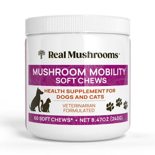 A white container labeled "Real Mushrooms Mushroom Mobility Pet Chews," a supplement for dog and cat joints with mushroom beta-glucans, 60 soft chews, net weight 8.47 oz (240g).