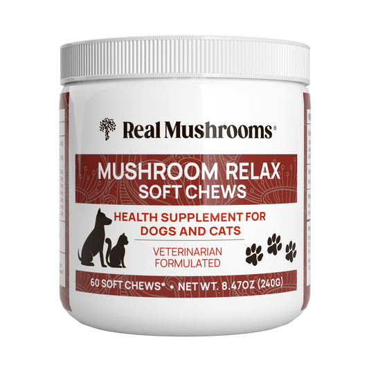 Container of "Mushroom Relax Pet Chews" by Real Mushrooms, a health supplement for dogs and cats enriched with Reishi mushroom adaptogens. The label features silhouettes of a dog and cat along with paw prints.