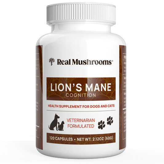 A white bottle featuring a label that proudly displays Certified Organic ingredients, containing the Organic Lions Mane Extract Capsules for Pets by Real Mushrooms.