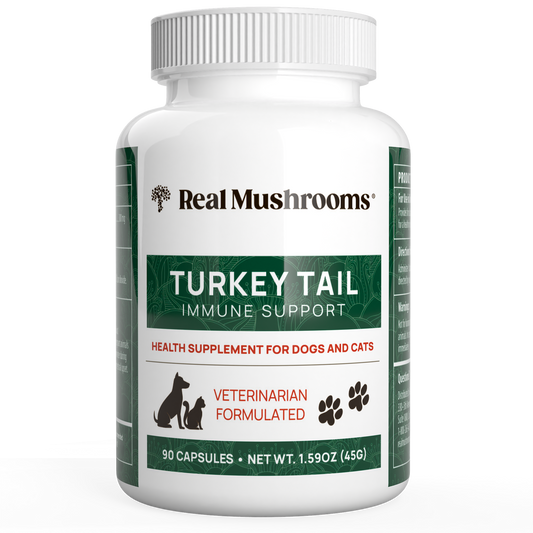 A bottle of Real Mushrooms Turkey Tail Extract Capsules for Pets, containing organic mushrooms rich in beta-glucans, includes 90 capsules and weighs 1.59oz (45g).