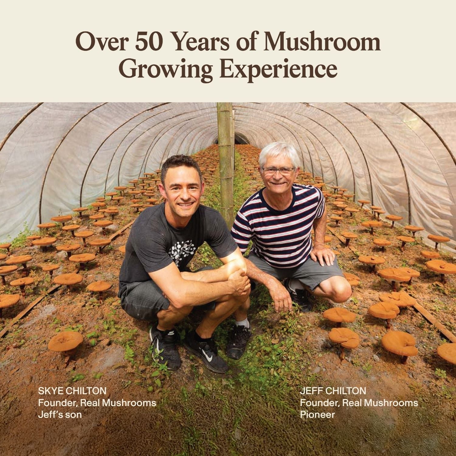 Two men kneel inside a greenhouse filled with rows of cultivated Reishi mushrooms. Above them, text reads: "Real Mushrooms: Over 50 Years of Growing Experience. Featuring RealRest—Reishi, Valerian, and Lemon Balm.